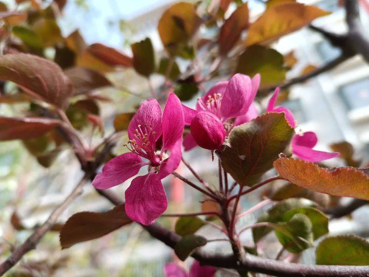 卧虎藏龙九游苹果版:写给远方的城市务工兄弟（诗词十三首）-第4张图片-太平洋在线下载