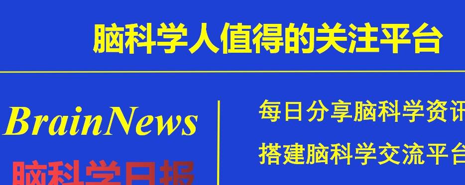 苹果系统最新gm版:无症状颈动脉狭窄患者皮质萎缩与记忆障碍的相关性-第5张图片-太平洋在线下载