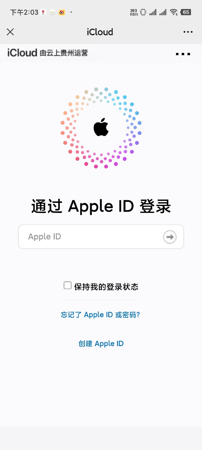 ios客户端登录界面苹果官网登录入口app