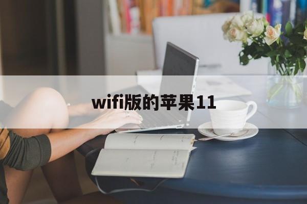 wifi版的苹果11(苹果11使用wifi6)-第5张图片-有道翻译官网