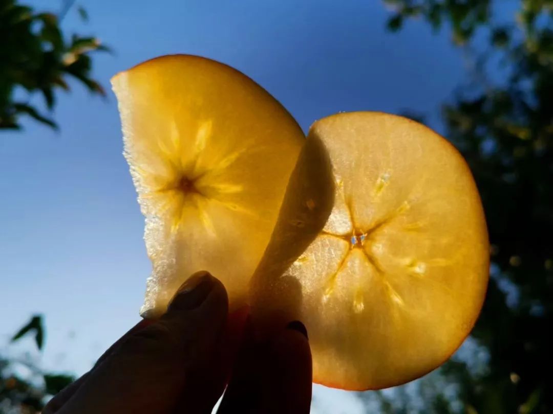 食度空间苹果版(食度空间app里没台式机)